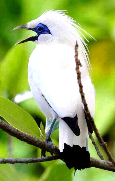 Beautiful Nature image