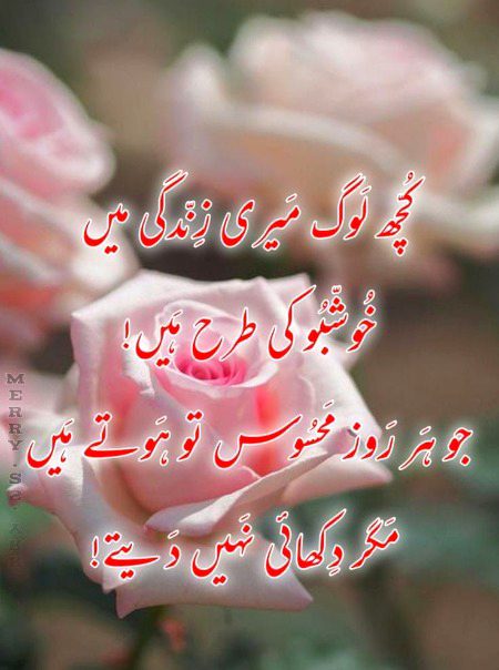 Romantic Poetry image