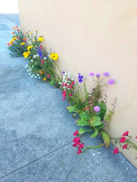 Beautiful Nature image