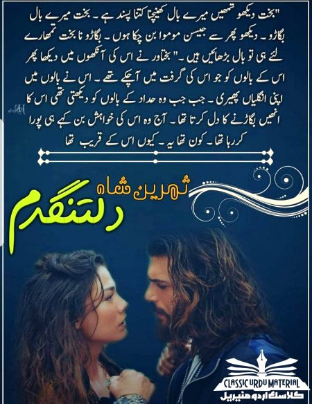 Romantic Novels image