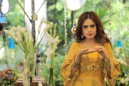 Pakistani Celebs image