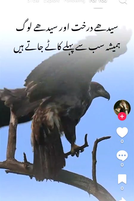 ٱلسَّلَامُ عَلَيْكُمْ وَرَحْمَةُ ٱللّٰهِ وَبَرَكَاتُهُ!