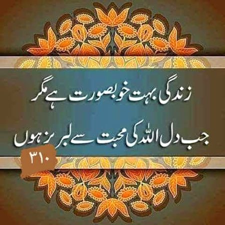 💕🖤❤️💕🖤❤️💕🖤❤️