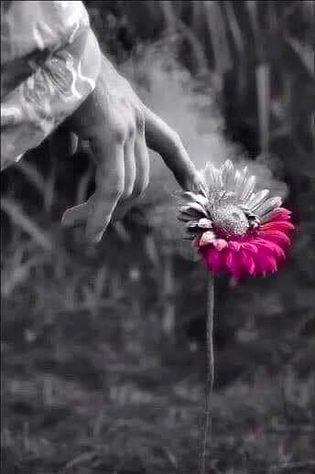 Beautiful Nature image