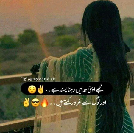 Attitude Quotes image