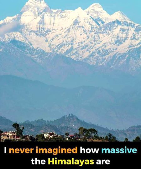 Beautiful Nature image