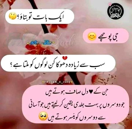 Han shi hai😑😑😑