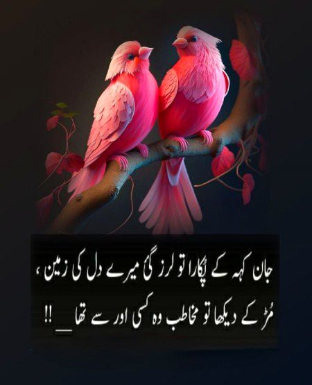 🌹 merijan-16 🌹
Hy Meri qismat