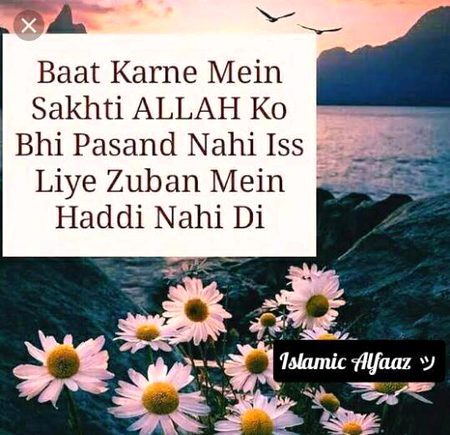 Islamic Quotes image