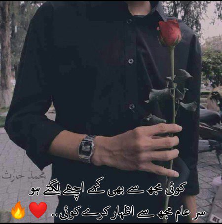 ___🙋___