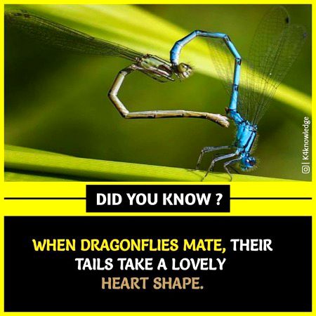 Interesting Posts image