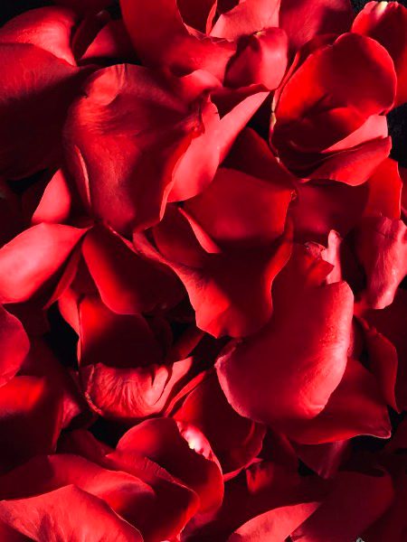 Beautiful Nature image