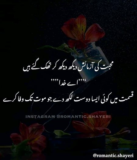 Sad Poetry image