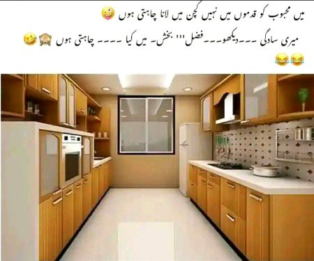 Memes & Satire image