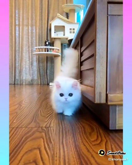 Hello!!