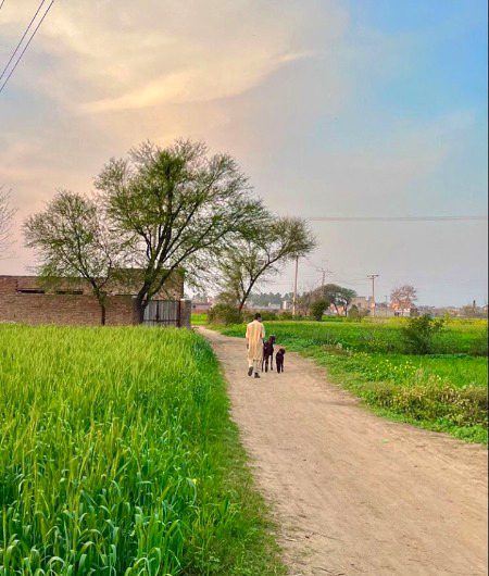 مجھے بھی شوق نہ تھا داستان سنانے کا
فراز اس نے بھی پوچھا تھا حال ویسے ہی