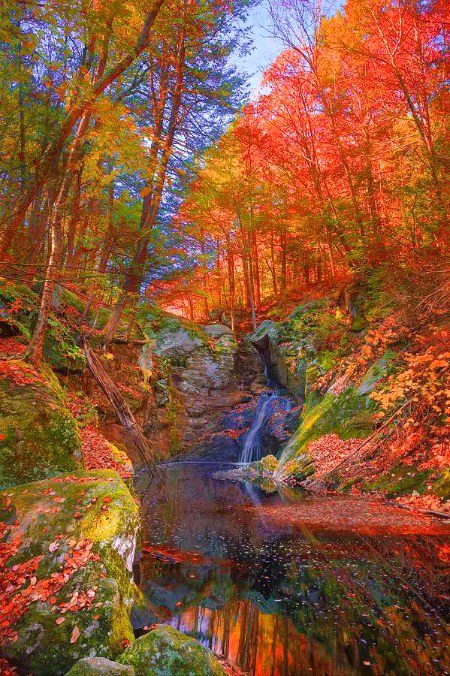 Beautiful Nature image