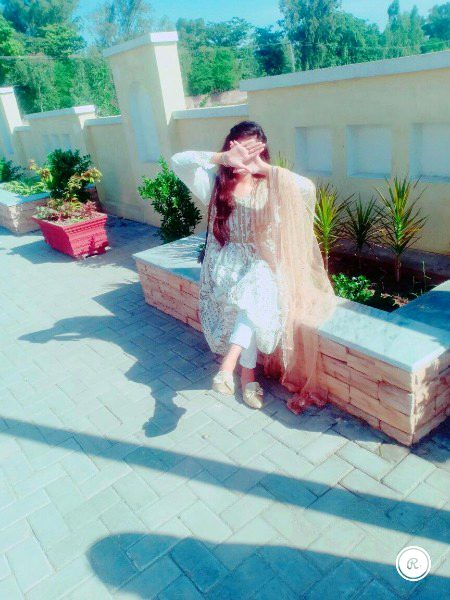 Beautiful Nature image