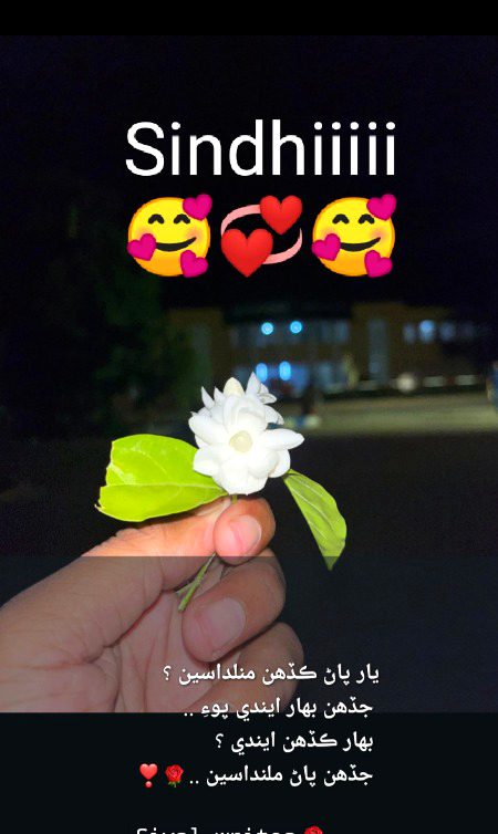 Sindhiii❤️❤️