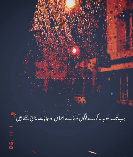 🍁Zoq_Shab🍁