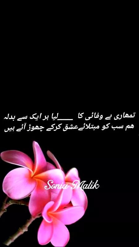 سر آنکھوں پہ ہم اُس کو بٹھا لیتے ہیں اکثر ٠٠٠٠جن کے کسی وعدے میں صراقت نہیں ہوتی