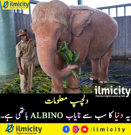 Interesting Posts image