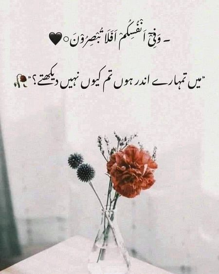 Islamic Quotes image