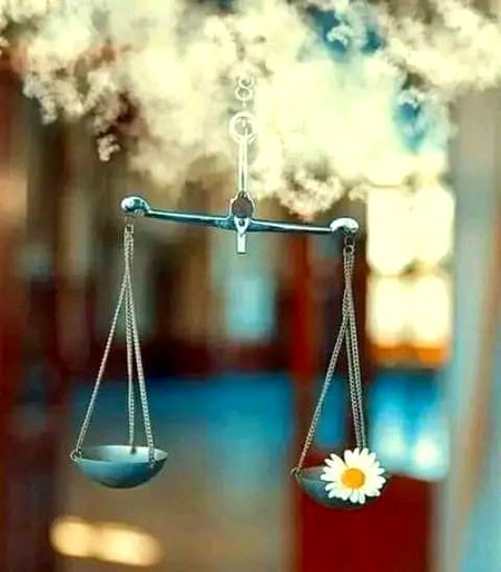 نئی مہک کے تعاقب میں مُجھ کو بھول گیا
وہ شخص میں نے جسے خوشبوؤں میں تولا تھا۔