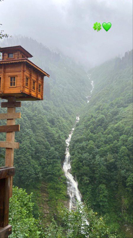 Beautiful Nature image