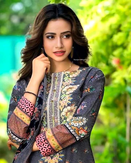 Pakistani Celebs image