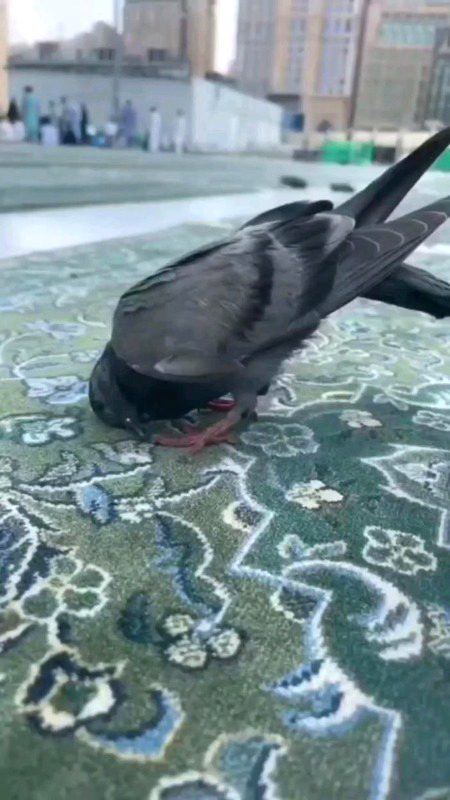 Beautiful Nature image