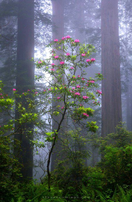 Beautiful Nature image