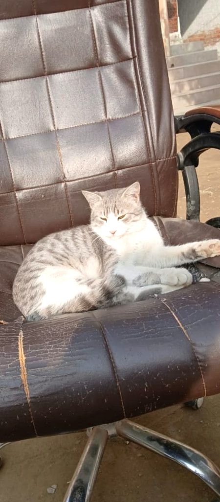 Beautiful Nature image