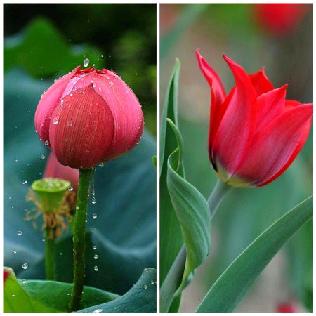 Beautiful Nature image