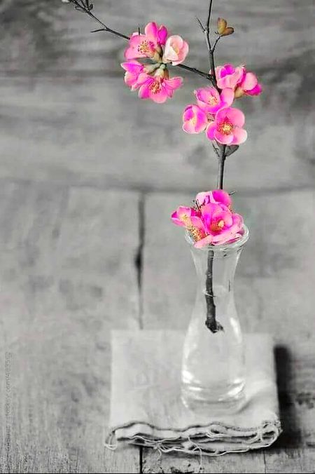 بولنے لگ جاتی ھیں اکثر 
دیواروں سے ڈر جاتا ھوں 
میں تو ھوں اک خالی برتن 
تو دیکھے تو بھر جاتا ھوں