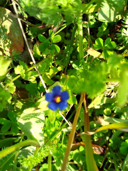 Ya b mery ly thanks 🌷