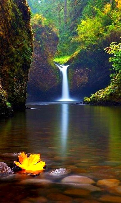 Beautiful Nature image