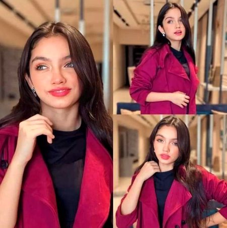 Pakistani Celebs image