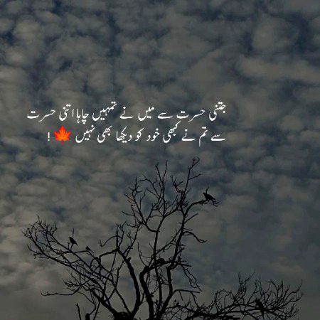 Romantic Poetry image