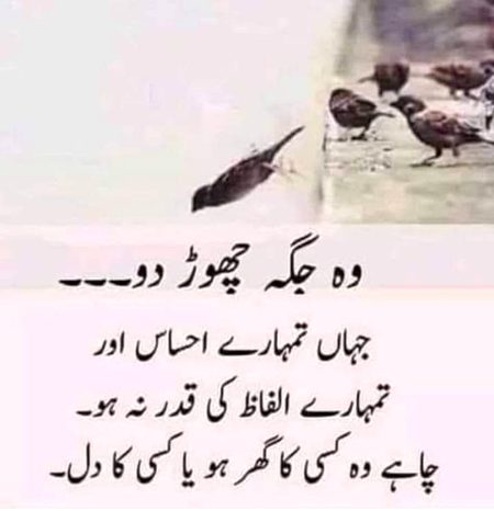 Right..!!💯🖤✌