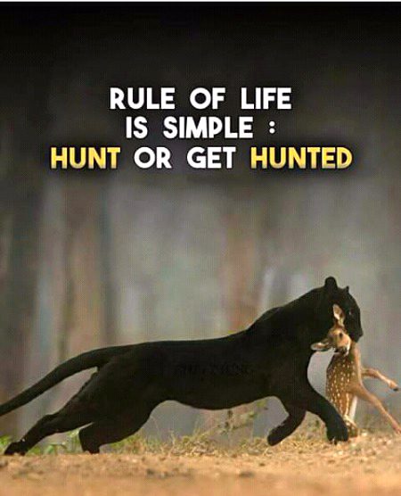 Life Advice image