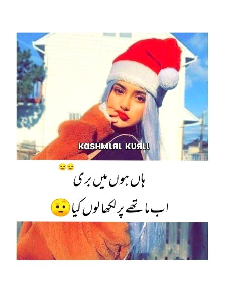 Memes & Satire image