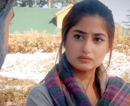 Pakistani Celebs image