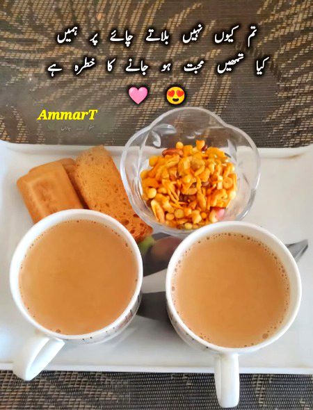 تمہارے سرد رویے سے صاف لگتا ہے 
ہمارا ساتھ ضروری نہیں سفر کے لیے  
کہیں پہ بیٹھ کے پیتے ہیں چائے کا ایک کپ 
پھر اس کے بعد بچھڑتے ہیں عمر بھر کے لیے🖤سرکار