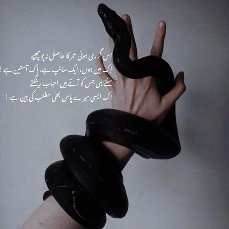 Attitude Poetry image