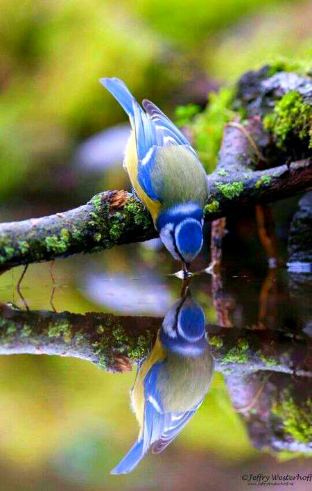 Wow BEAUTIFUL