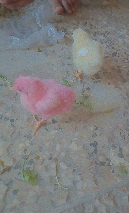 Beautiful Nature image