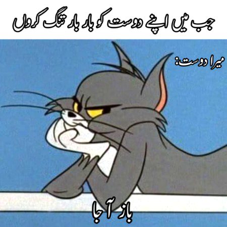 Memes & Satire image