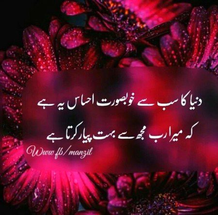 Asslam O Alikum To All sweet dd Family 🌹