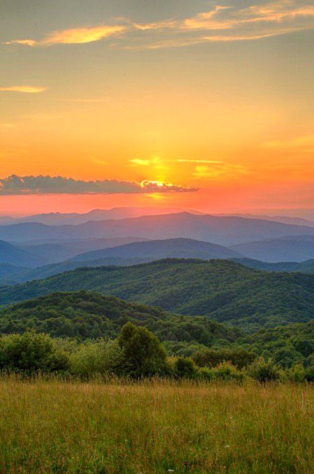Beautiful Nature image